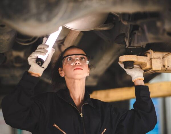 inmovilizador pointer