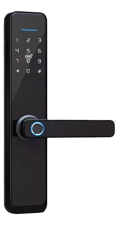 D_NQ_NP_2X_663519-MLM70637855490_072023-F